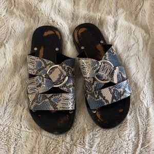 Blue Snake Skin Slides with Buckle